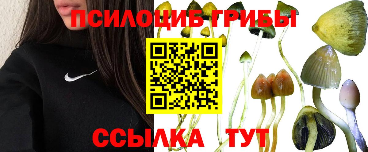 Псилоцибиновые грибы GOLDEN TEACHER Рославль